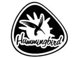 Свідоцтво торговельну марку № 312843 (заявка m201927128): hummingbird