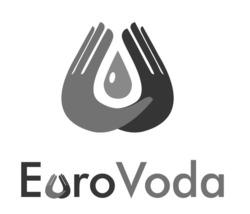 Свідоцтво торговельну марку № 340674 (заявка m202129887): evro voda