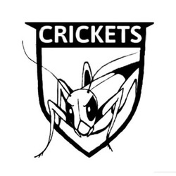 Свідоцтво торговельну марку № 285391 (заявка m202001288): crickets