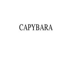 Заявка на торговельну марку № m202405327: capybara