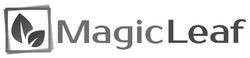 Свідоцтво торговельну марку № 344482 (заявка m202202001): magic leaf; magicleaf