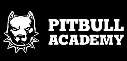 Заявка на торговельну марку № m202405273: pitbull academy