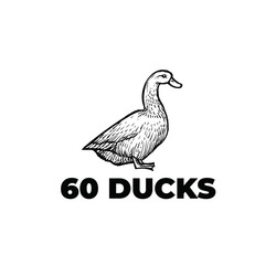 Заявка на торговельну марку № m202003404: 60 ducks