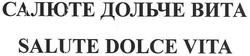 Свідоцтво торговельну марку № 138263 (заявка m201020642): салюте дольче вита; salute dolce vita