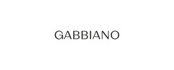 Свідоцтво торговельну марку № 347202 (заявка m202128929): gabbiano