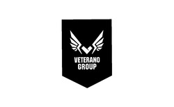 Заявка на торговельну марку № m202016890: veterano group