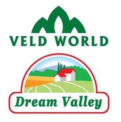 Свідоцтво торговельну марку № 340172 (заявка m202101434): dream valley; veld world