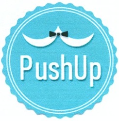 Свідоцтво торговельну марку № 175013 (заявка m201307271): pushup