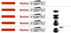 Заявка на торговельну марку № m202116136: tefal ingenio