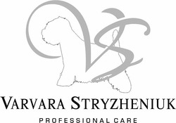Заявка на торговельну марку № m202214910: vs; professional care; varvara stryzheniuk