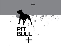 Свідоцтво торговельну марку № 339243 (заявка m202106721): pit bull +