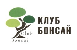 Свідоцтво торговельну марку № 266588 (заявка m201717155): клуб бонсай; club bonsai