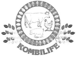 Свідоцтво торговельну марку № 171917 (заявка m201211518): kombilife