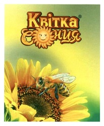 Свідоцтво торговельну марку № 243929 (заявка m201610546): квітка сонця
