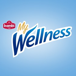 Свідоцтво торговельну марку № 296217 (заявка m202015500): my wellness; bambi food 1967