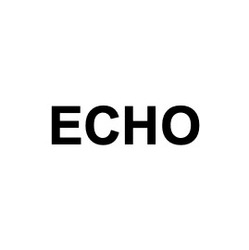 Свідоцтво торговельну марку № 314056 (заявка m202004349): echo; есно