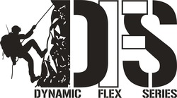 Свідоцтво торговельну марку № 284721 (заявка m201820548): dfs; dynamic flex series
