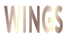 Заявка на торговельну марку № m202318723: wings
