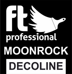 Заявка на торговельну марку № m202304768: ft professional moonrock decoline