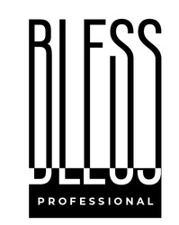 Свідоцтво торговельну марку № 301593 (заявка m201929845): bless professional