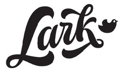 Свідоцтво торговельну марку № 305272 (заявка m201927551): lark