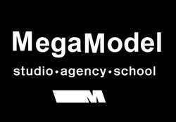 Заявка на торговельну марку № m202405955: м; studio agency school; megamodel