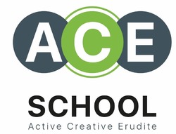 Свідоцтво торговельну марку № 299551 (заявка m201918660): school; active creative erudite; асе; ace