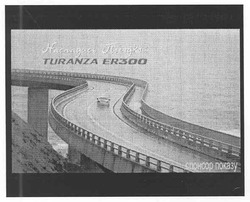 Заявка на торговельну марку № m201003915: насладись поездкой turanza er300; спонсор показу