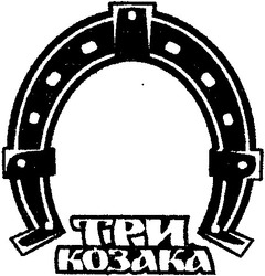 Свідоцтво торговельну марку № 38933 (заявка 2002010088): три козака
