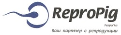 Свідоцтво торговельну марку № 138000 (заявка m201003818): repropig репропиг ваш партнер в репродукции; repro pig; репро пиг