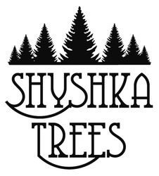 Заявка на торговельну марку № m202215388: shyshka trees