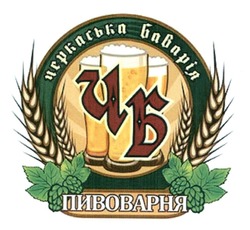 Свідоцтво торговельну марку № 325310 (заявка m201923388): чб; черкаська баварія пивоварня