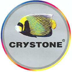 Заявка на торговельну марку № m200710775: crystone