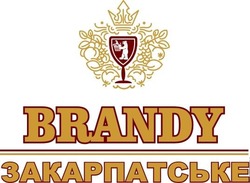 Свідоцтво торговельну марку № 308093 (заявка m202001473): brandy; закарпатське