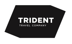 Свідоцтво торговельну марку № 276056 (заявка m201812296): trident travel company