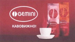 Заявка на торговельну марку № m201925563: gemini; кавовижно!