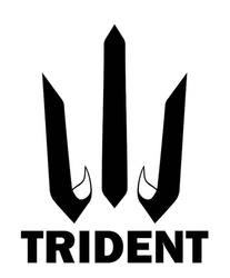 Заявка на торговельну марку № m202308648: trident