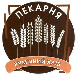 Свідоцтво торговельну марку № 306825 (заявка m201829620): пекарня; рум'яний хліб; румяний хліб