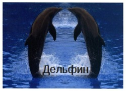 Заявка на торговельну марку № m201720697: дельфин