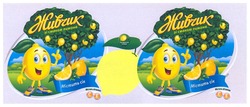 Свідоцтво торговельну марку № 232103 (заявка m201604859): живчик зі смаком лимона; містить сік