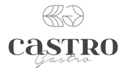 Свідоцтво торговельну марку № 285194 (заявка m201827397): castro gastro