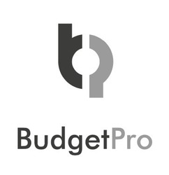 Свідоцтво торговельну марку № 329008 (заявка m202106482): budgetpro; budget pro; bp