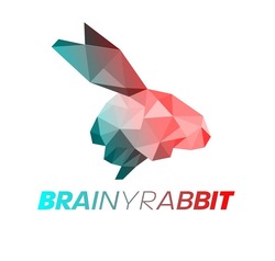 Заявка на торговельну марку № m202302359: brainy rabbit