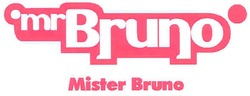 Заявка на торговельну марку № m200703468: mister bruno; mrbruno; mr bruno