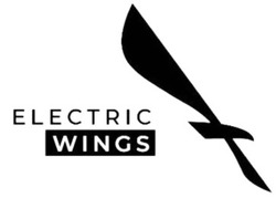 Заявка на торговельну марку № m202314404: electric wings