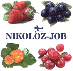 Заявка на торговельну марку № m201304867: nikoloz-job