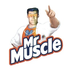 Свідоцтво торговельну марку № 255445 (заявка m201713550): mr muscle; м