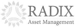 Заявка на торговельну марку № m200819707: radix; asset management