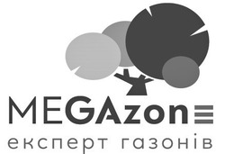 Свідоцтво торговельну марку № 315165 (заявка m202008499): megazone; експерт газонів
