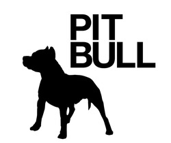 Свідоцтво торговельну марку № 331303 (заявка m202022774): pit bull